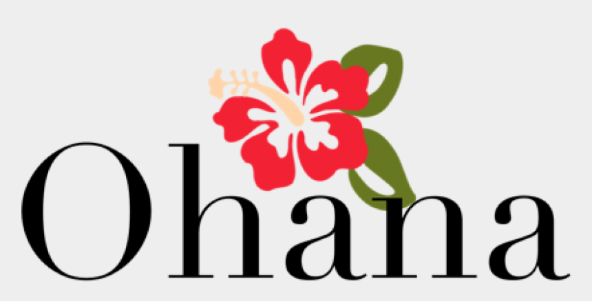 Ohana logo with hibiscus flower – representing family, community, and cultural roots at Today We Dream