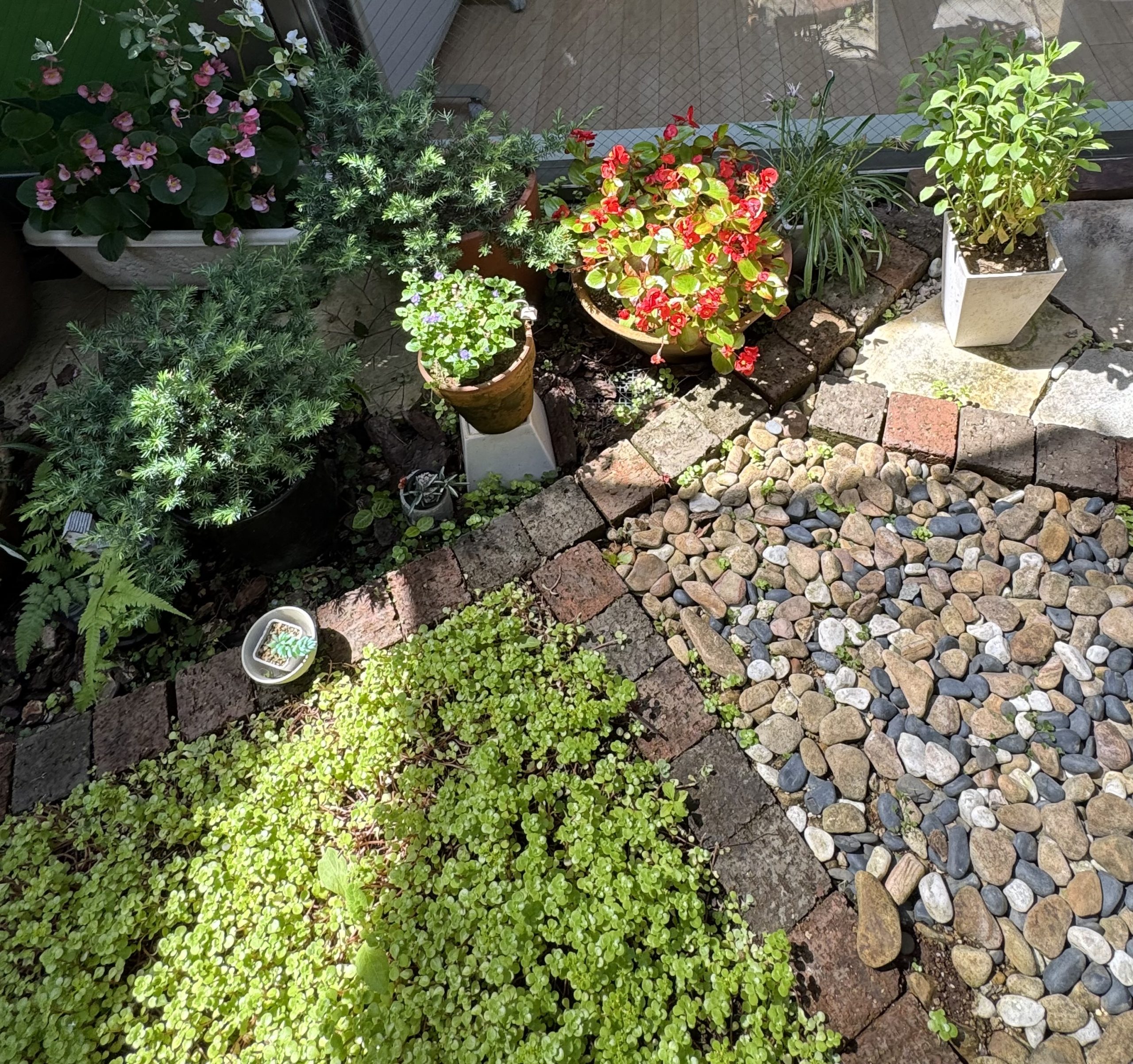 Where children bloom and friendships flourish